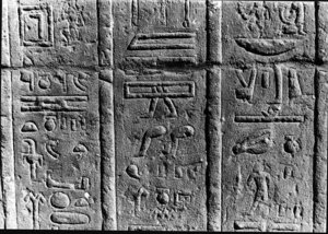 Photo »2752« aus dem Edfu-Projekt.