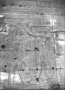 Photo »2987« of the Edfu-Project.