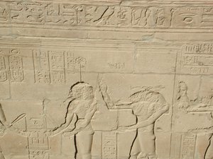 Photo »D03_0896« aus dem Edfu-Projekt.