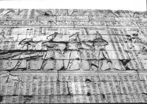Photo »1482« aus dem Edfu-Projekt.