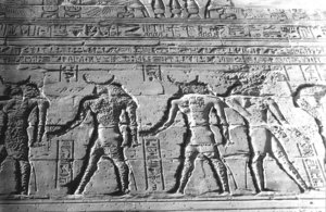 Photo »1127« aus dem Edfu-Projekt.