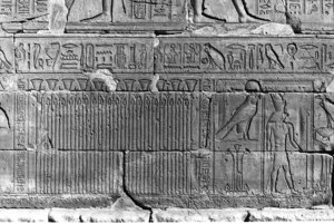 Photo »196« of the Edfu-Project.