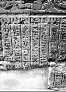 Photo »2949« aus dem Edfu-Projekt.