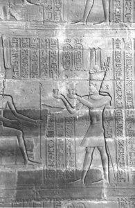 Photo »4207« aus dem Edfu-Projekt.