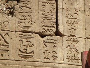 Photo »D05_1213« aus dem Edfu-Projekt.
