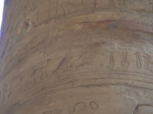 Photo »D05_6289« of the Edfu-Project.