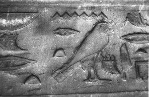 Photo »3870« aus dem Edfu-Projekt.