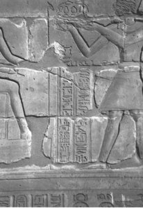 Photo »4314« aus dem Edfu-Projekt.