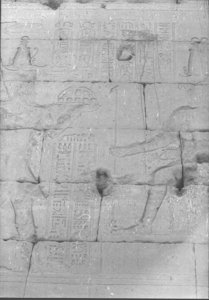 Photo »855« aus dem Edfu-Projekt.