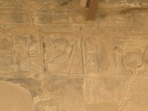 Photo »D05_0195« of the Edfu-Project.