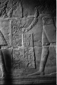 Photo »1272« of the Edfu-Project.