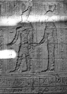 Photo »2209« aus dem Edfu-Projekt.