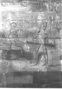 Photo »4037« aus dem Edfu-Projekt.