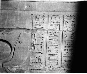 Photo »4173« aus dem Edfu-Projekt.