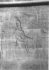 Photo »4259« aus dem Edfu-Projekt.
