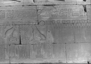 Photo »630« aus dem Edfu-Projekt.