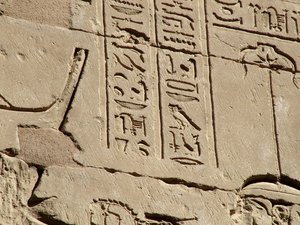 Photo »D05_1680« aus dem Edfu-Projekt.
