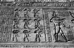 Photo »1195« aus dem Edfu-Projekt.