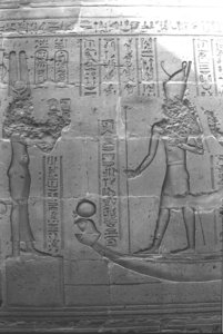 Photo »1366« aus dem Edfu-Projekt.