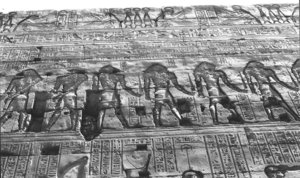 Photo »1504« aus dem Edfu-Projekt.