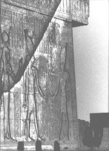 Photo »2321« of the Edfu-Project.