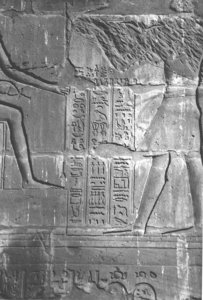 Photo »4264« aus dem Edfu-Projekt.