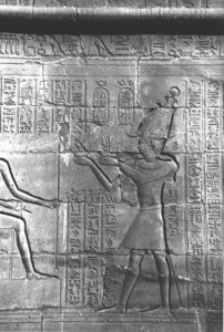 Photo »4289« aus dem Edfu-Projekt.