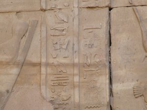 Photo »D05_3931« of the Edfu-Project.