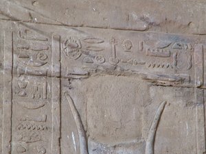 Photo »D05_5409« of the Edfu-Project.