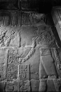 Photo »1270« of the Edfu-Project.