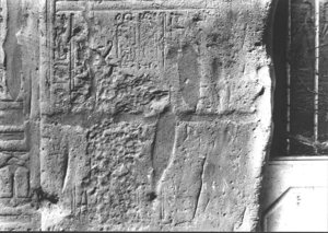 Photo »3296« aus dem Edfu-Projekt.