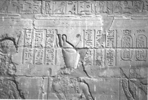 Photo »4257« aus dem Edfu-Projekt.