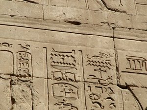 Photo »D05_1765« aus dem Edfu-Projekt.