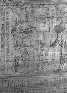 Photo »2224« aus dem Edfu-Projekt.