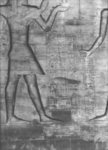 Photo »2879« aus dem Edfu-Projekt.