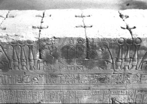 Photo »3009« aus dem Edfu-Projekt.
