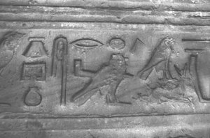 Photo »3855« aus dem Edfu-Projekt.