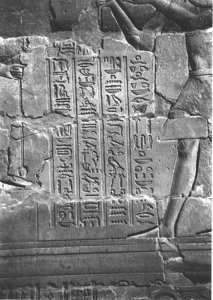 Photo »4019« aus dem Edfu-Projekt.