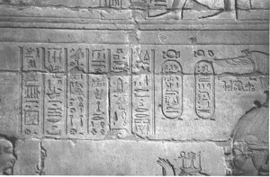 Photo »4095« aus dem Edfu-Projekt.