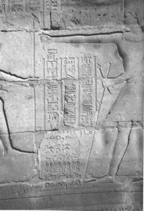 Photo »4430« aus dem Edfu-Projekt.