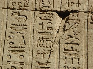 Photo »D03_0535« aus dem Edfu-Projekt.
