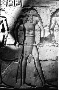 Photo »1278« aus dem Edfu-Projekt.