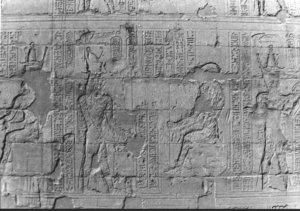 Photo »2136« aus dem Edfu-Projekt.