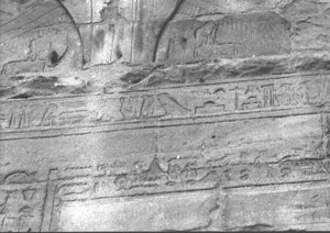 Photo »2856« aus dem Edfu-Projekt.
