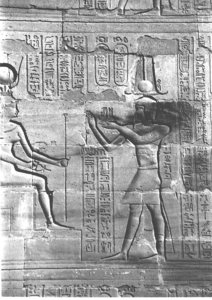 Photo »3985« aus dem Edfu-Projekt.