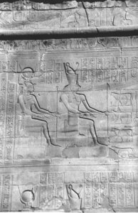 Photo »4407« aus dem Edfu-Projekt.