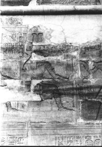 Photo »482« aus dem Edfu-Projekt.
