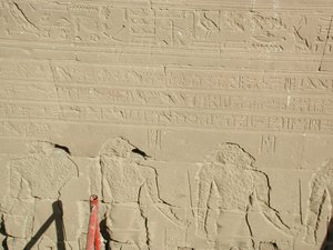 Photo »D03_0725« aus dem Edfu-Projekt.
