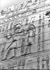 Photo »3553« aus dem Edfu-Projekt.