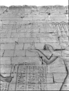 Photo »1056« aus dem Edfu-Projekt.